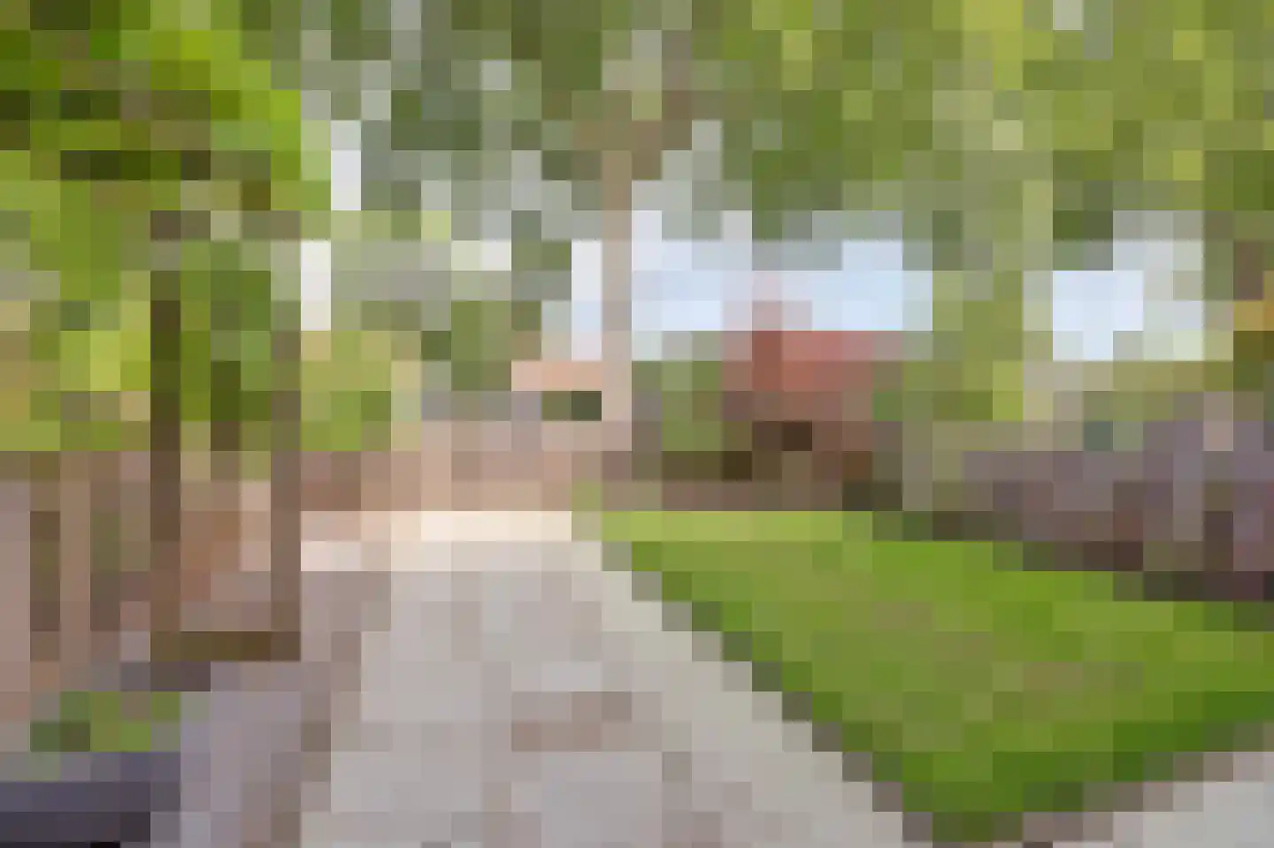 Steurweg 21 Hoogvliet Rotterdam thumbnail 32