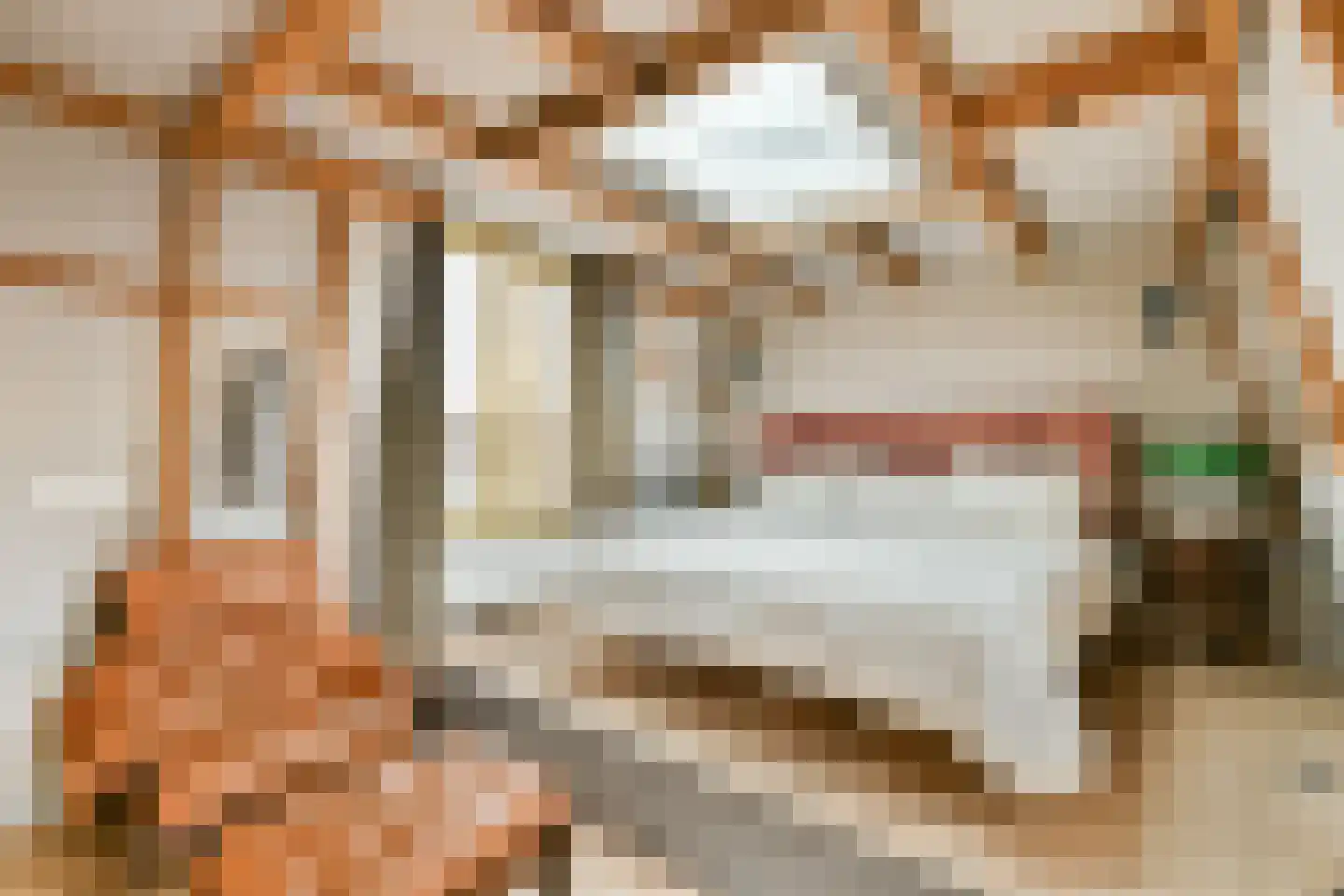 Steve Bikoplein 12 1 Amsterdam thumbnail 15