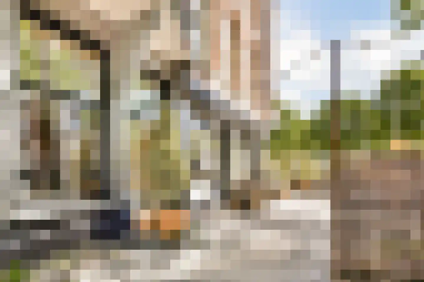 Steve Bikoplein 12 1 Amsterdam thumbnail 24