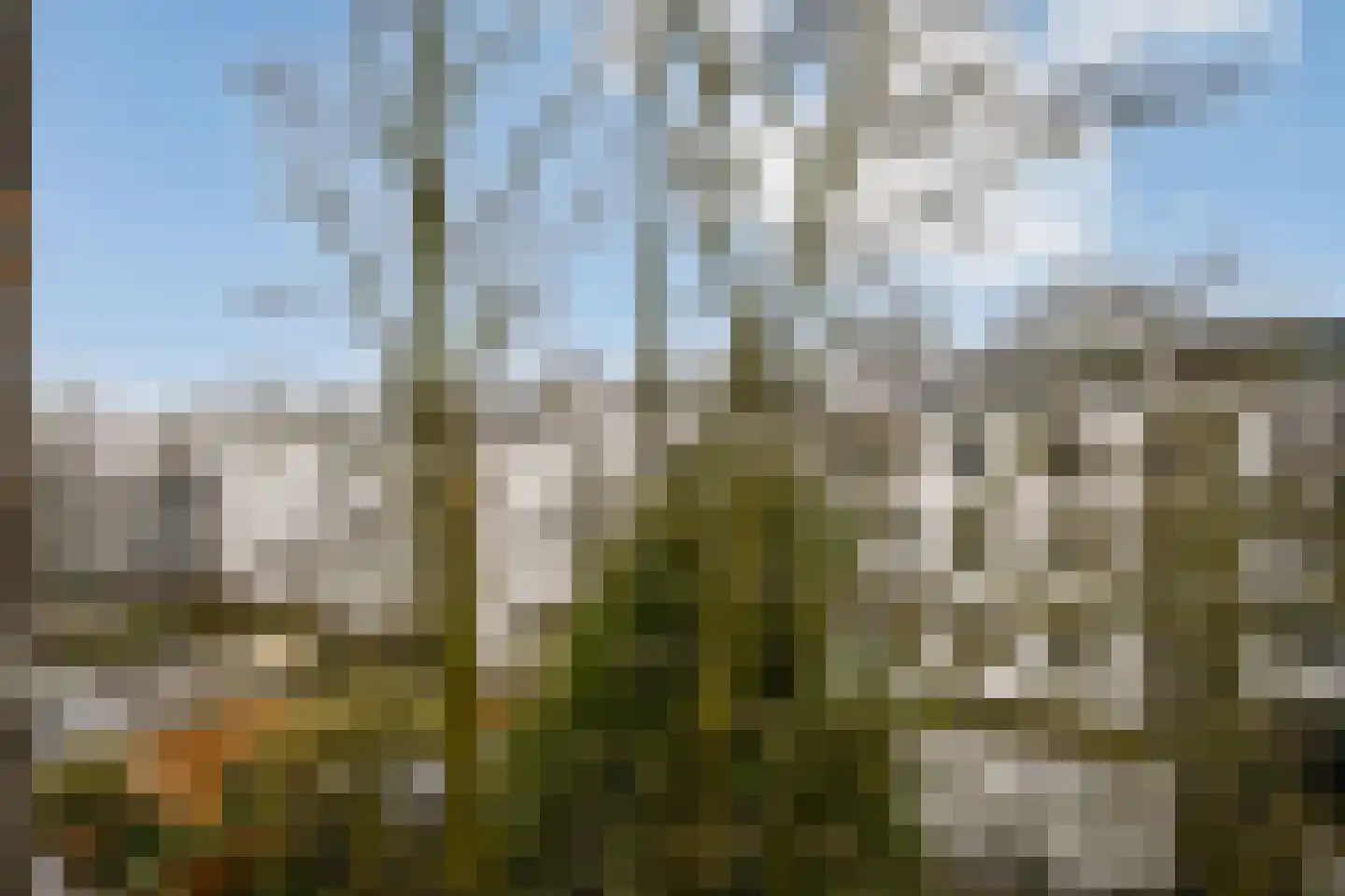 Steve Bikoplein 12 1 Amsterdam thumbnail 9