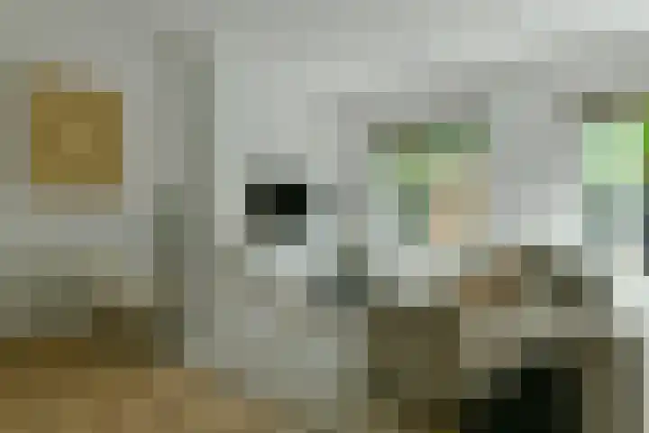 Steve Bikoplein 19 H Amsterdam thumbnail 6