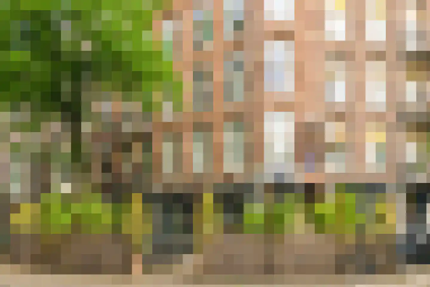 Steve Bikoplein 5 4 Amsterdam thumbnail 18