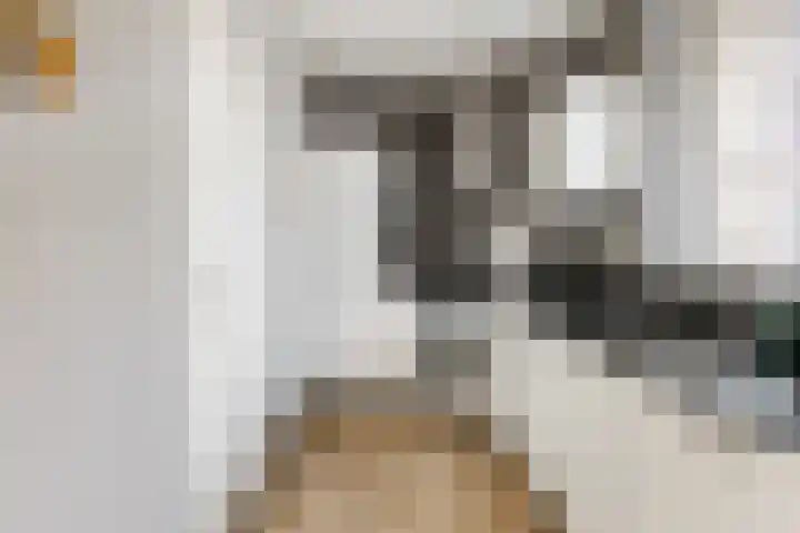 Steve Bikostraat 29 Waalwijk thumbnail 8