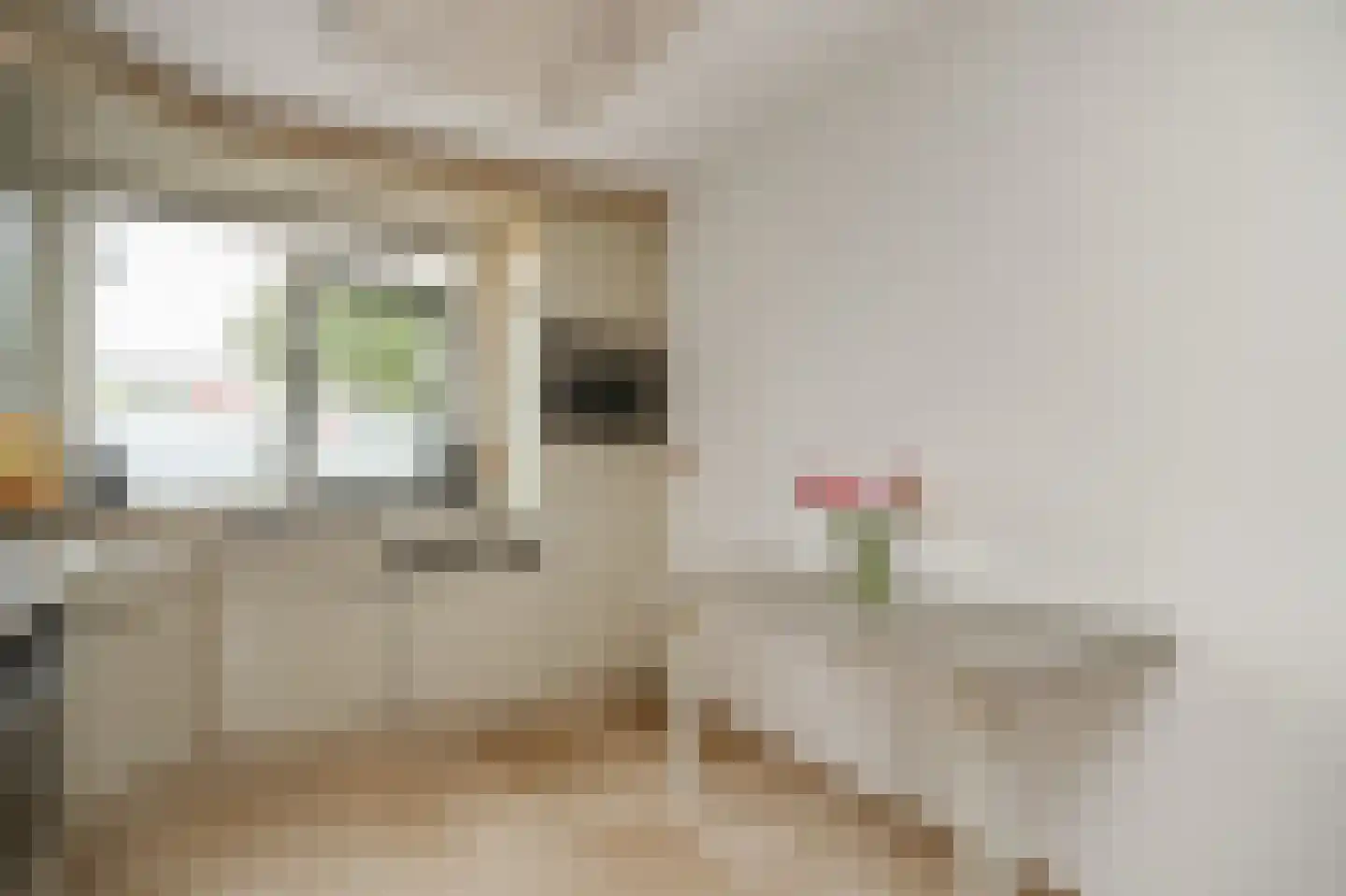 Steve Bikostraat 358 Utrecht thumbnail 21
