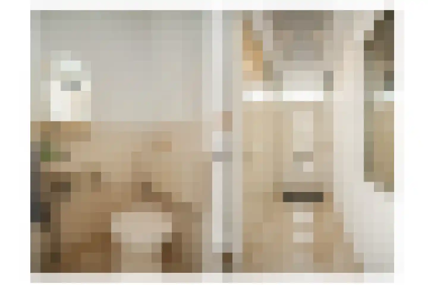 Steve Bikostraat 358 Utrecht thumbnail 25