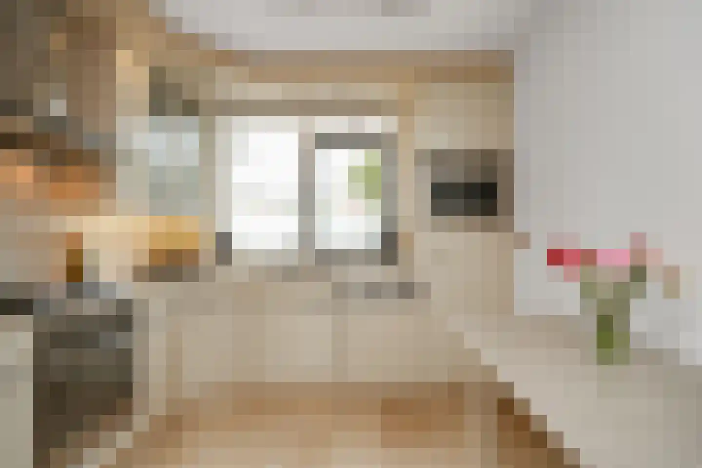 Steve Bikostraat 358 Utrecht thumbnail 4