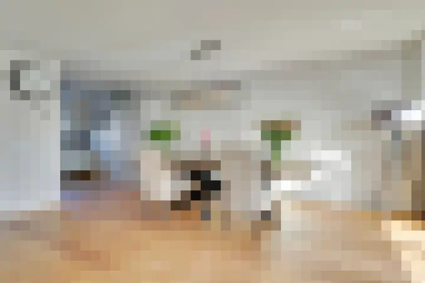 Steve Bikostraat 366 Utrecht thumbnail 16