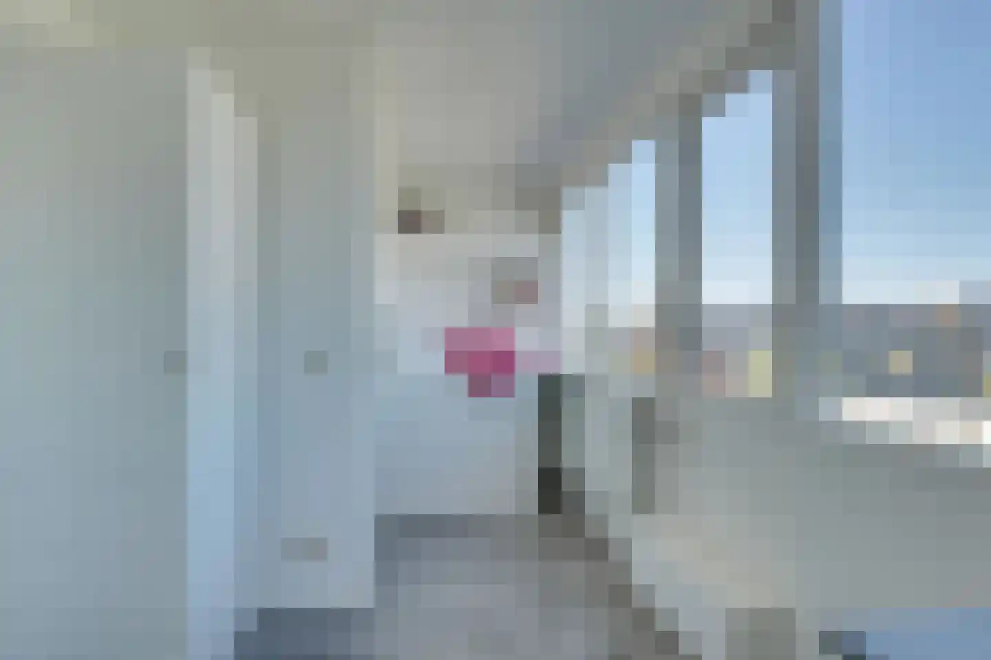 Steve Bikostraat 366 Utrecht thumbnail 40