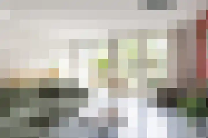 Steve Bikostraat 384 Utrecht thumbnail 15