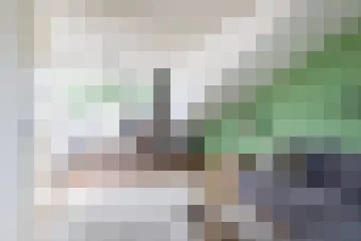 Steve Bikostraat 384 Utrecht thumbnail 36