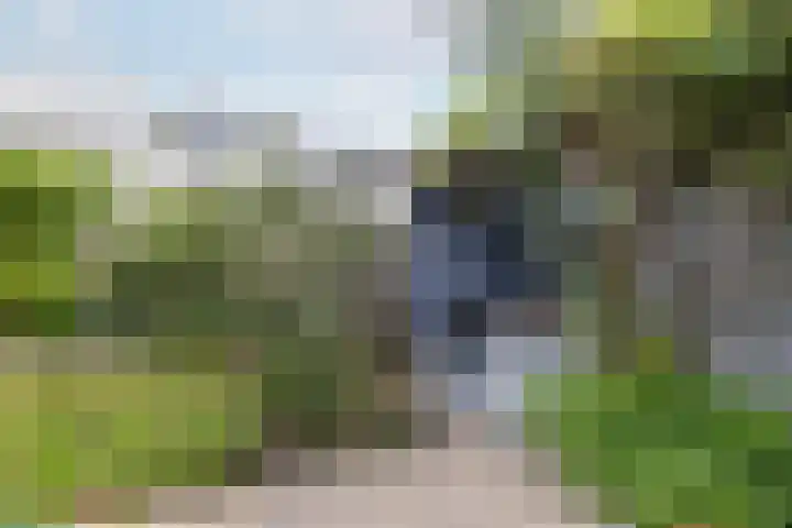 Steve Bikostraat 384 Utrecht thumbnail 45