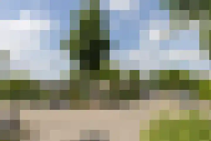 Steve Bikostraat 384 Utrecht thumbnail 56