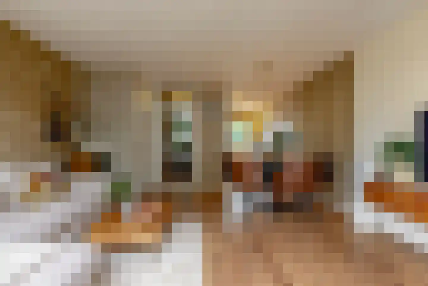 Steve Bikostraat 387 Utrecht thumbnail 4