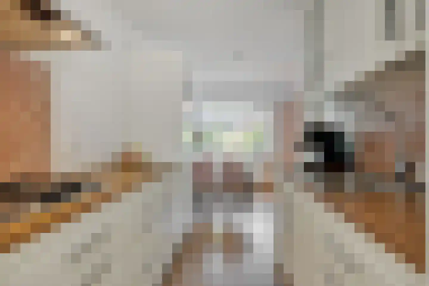 Steve Bikostraat 89 's-Hertogenbosch thumbnail 13