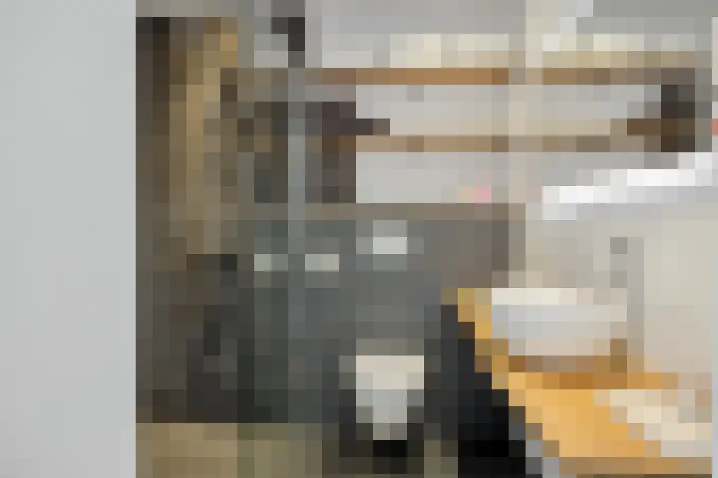 Steve Bikostraat 89 's-Hertogenbosch thumbnail 19