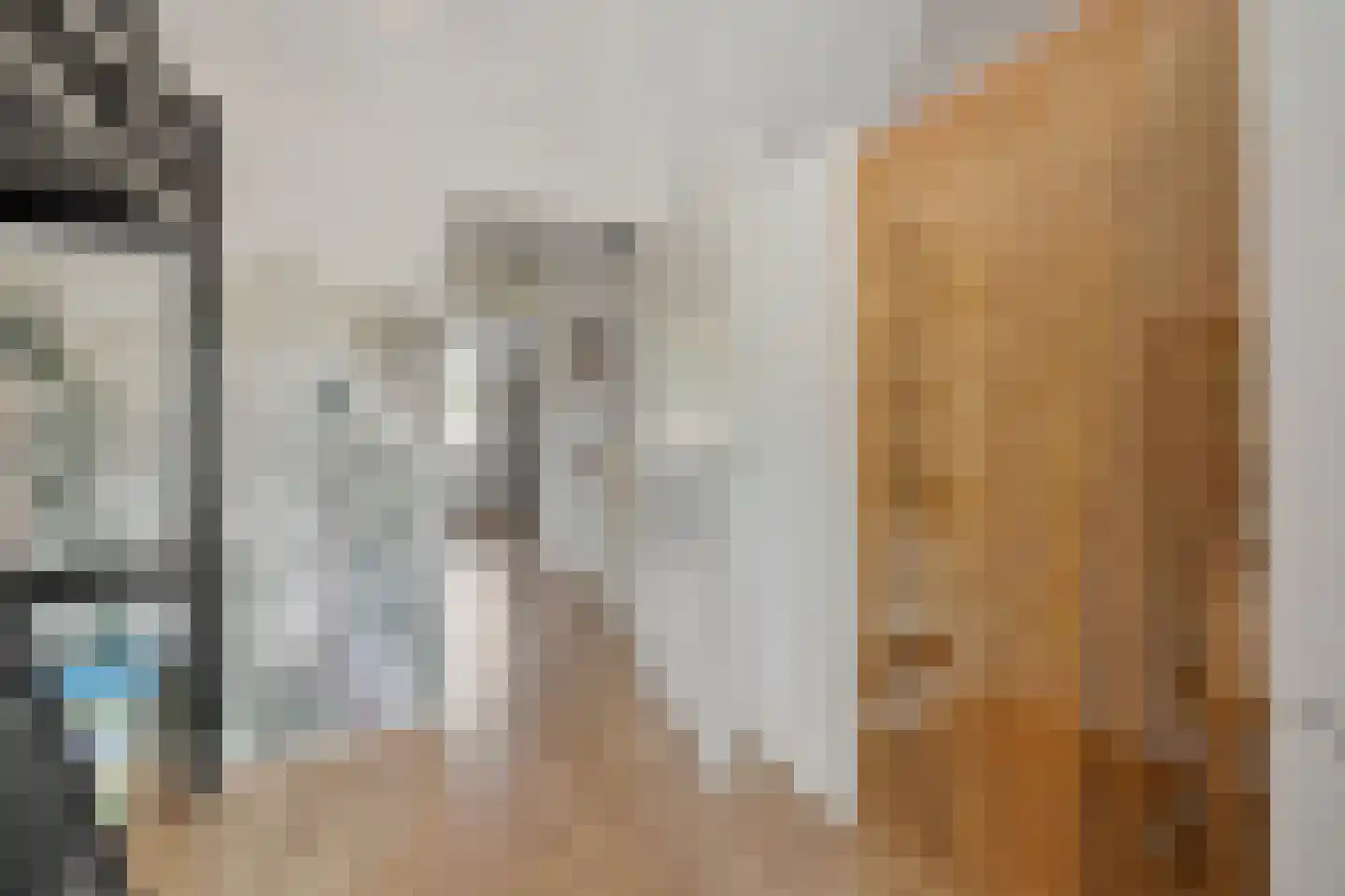 Steve Bikostraat 89 's-Hertogenbosch thumbnail 23