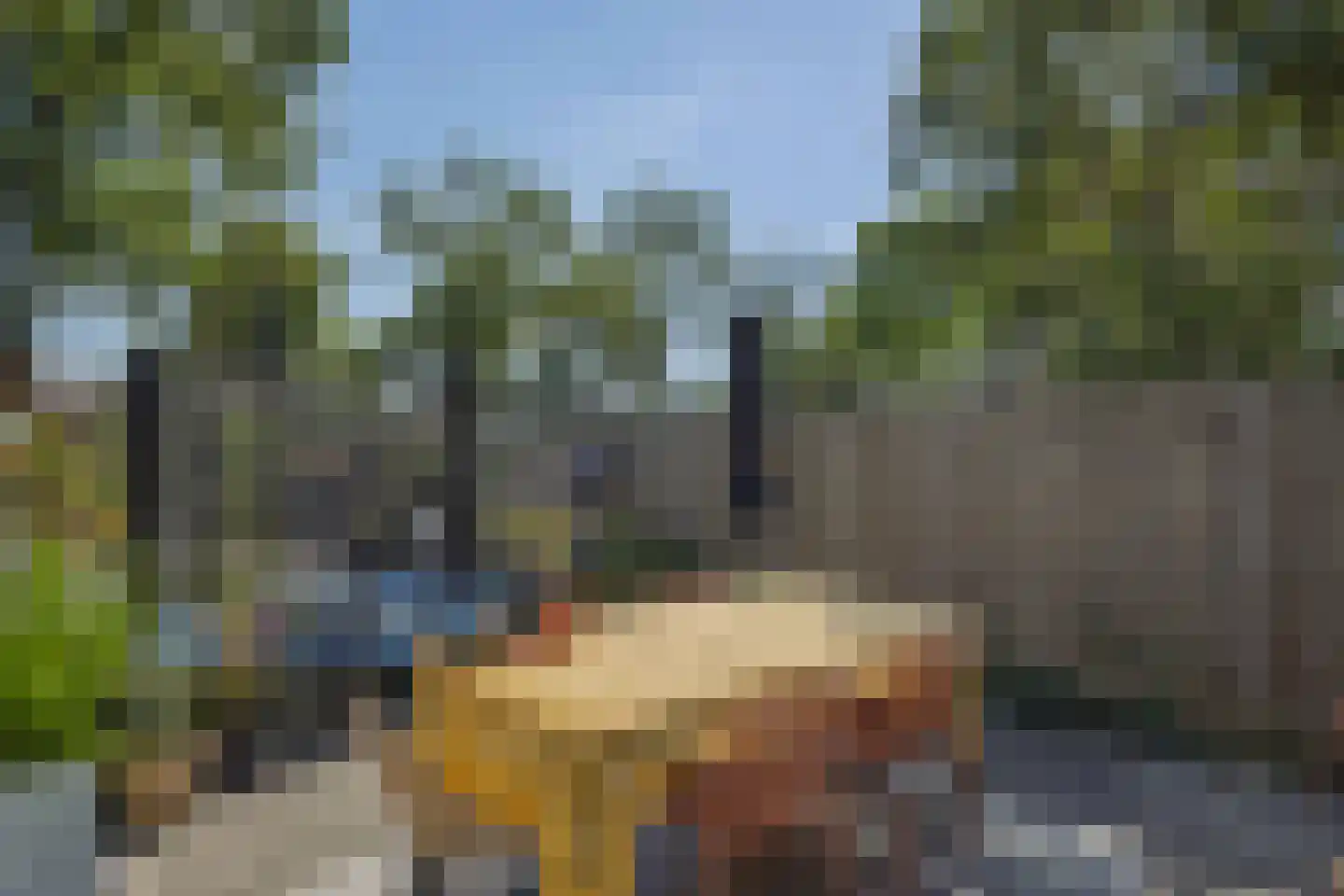Steve Bikostraat 89 's-Hertogenbosch thumbnail 26
