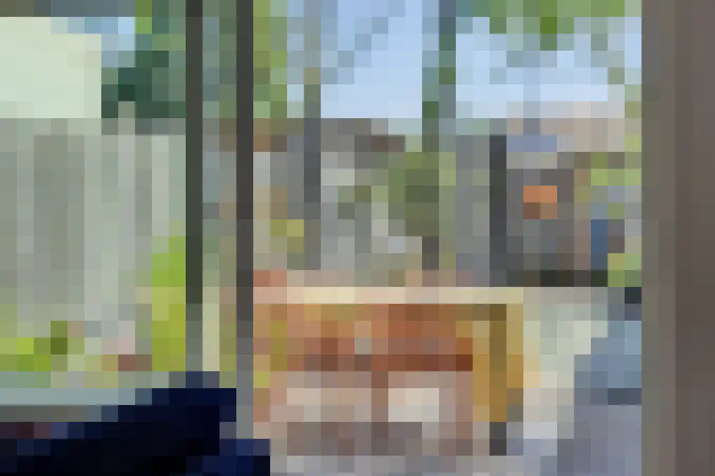 Steve Bikostraat 89 's-Hertogenbosch thumbnail 4