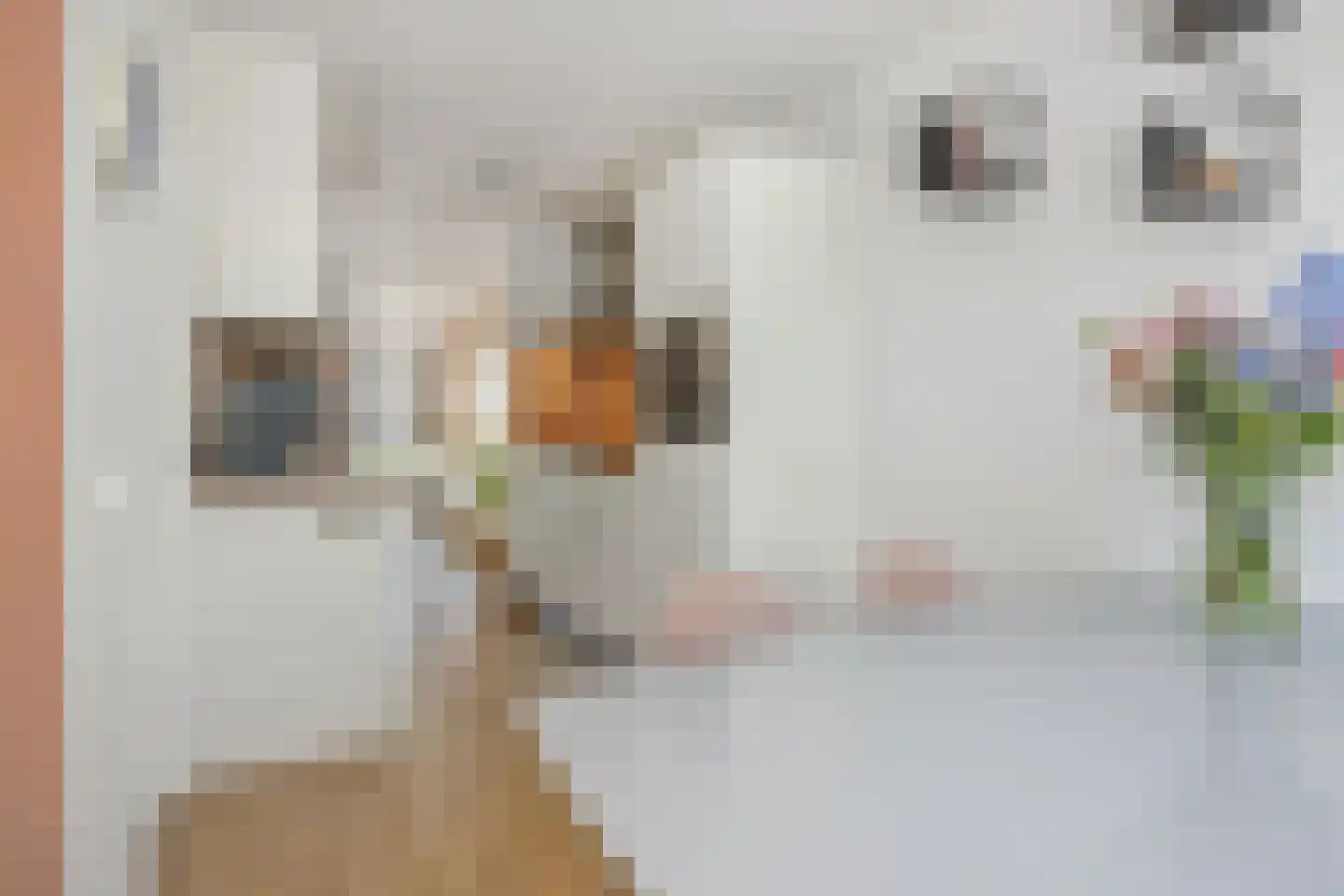 Steve Bikostraat 89 's-Hertogenbosch thumbnail 8