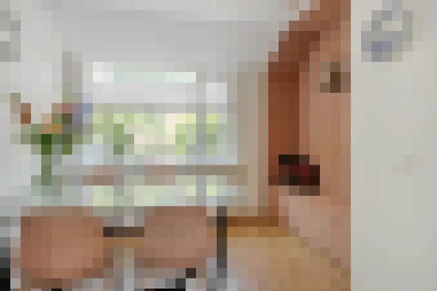 Steve Bikostraat 89 's-Hertogenbosch thumbnail 9