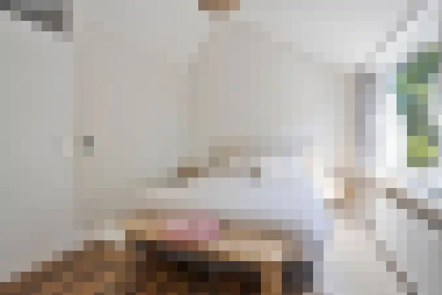 Steve Bikostraat 99 's-Hertogenbosch thumbnail 13