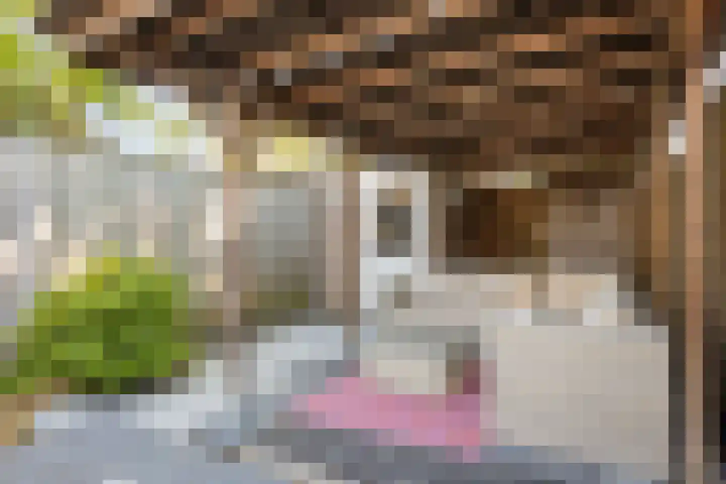 Steve Bikostraat 99 's-Hertogenbosch thumbnail 20