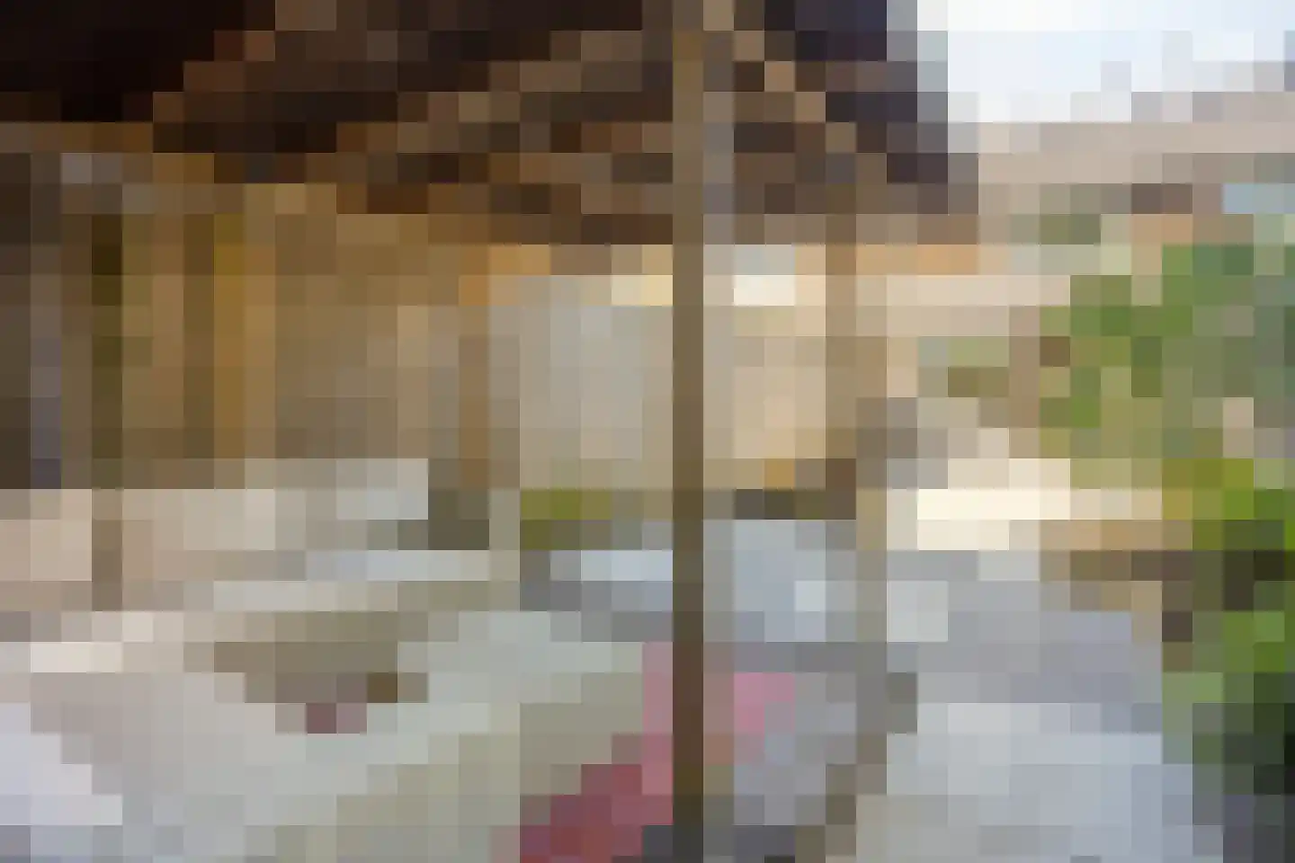 Steve Bikostraat 99 's-Hertogenbosch thumbnail 21
