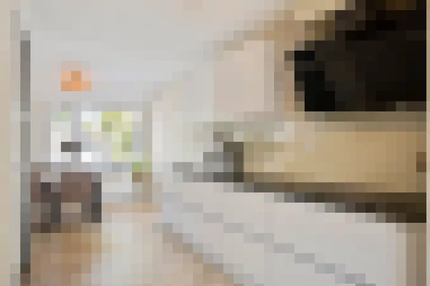 Steve Bikostraat 99 's-Hertogenbosch thumbnail 8