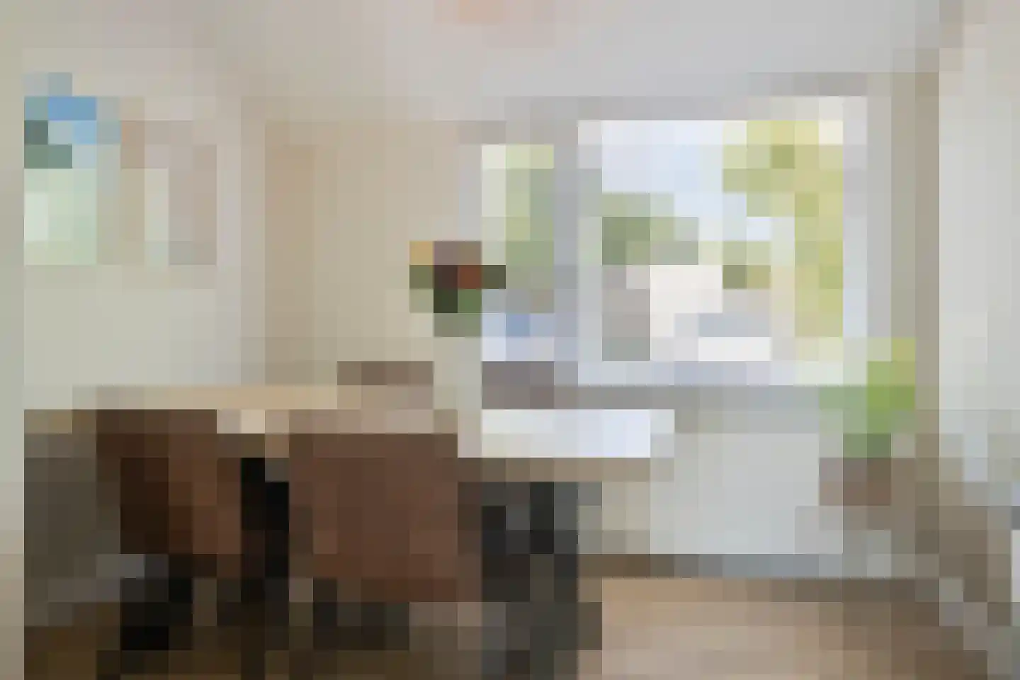 Steve Bikostraat 99 's-Hertogenbosch thumbnail 9