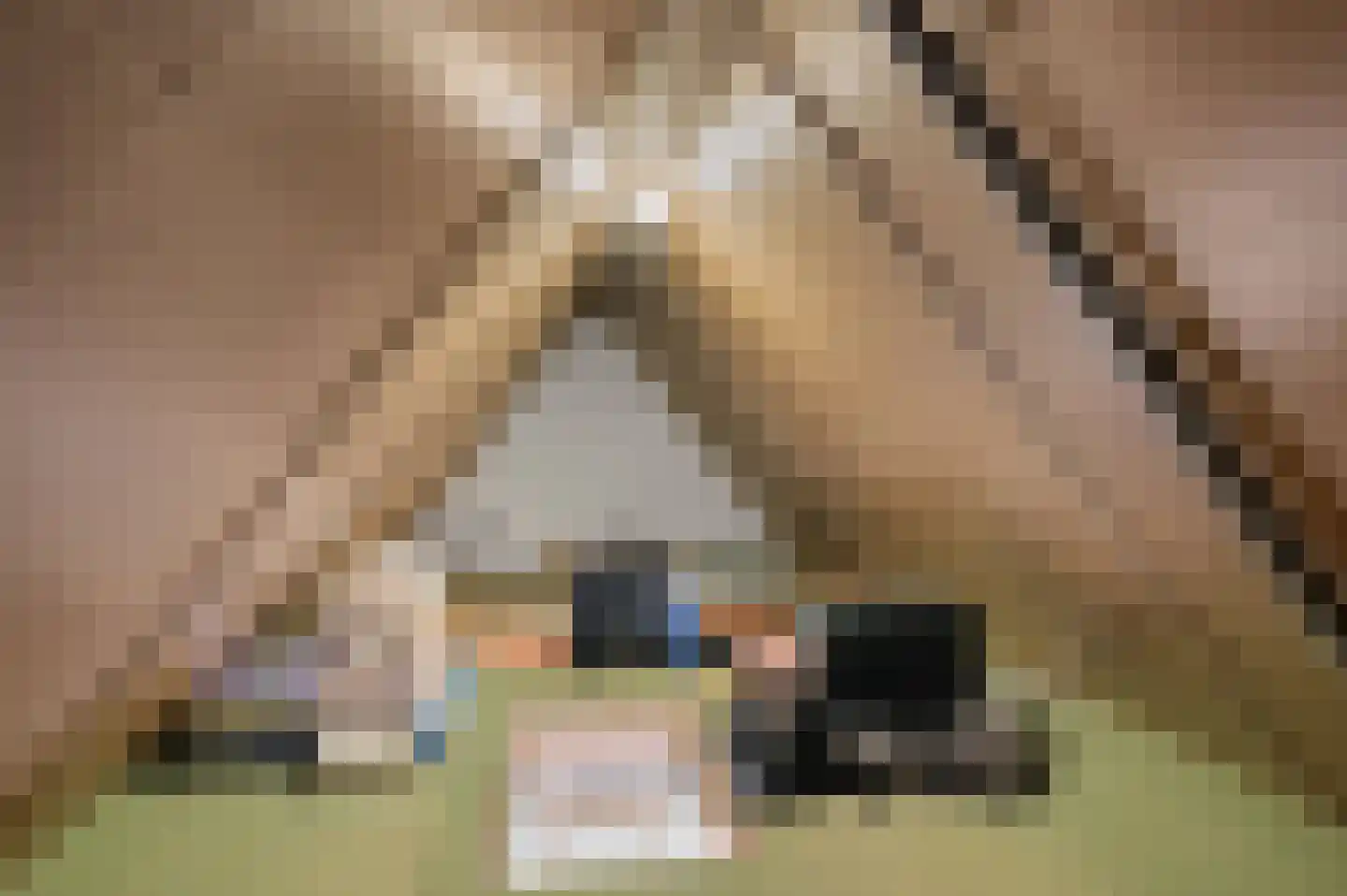 Steven Coldeweijpad 2 Deventer thumbnail 24