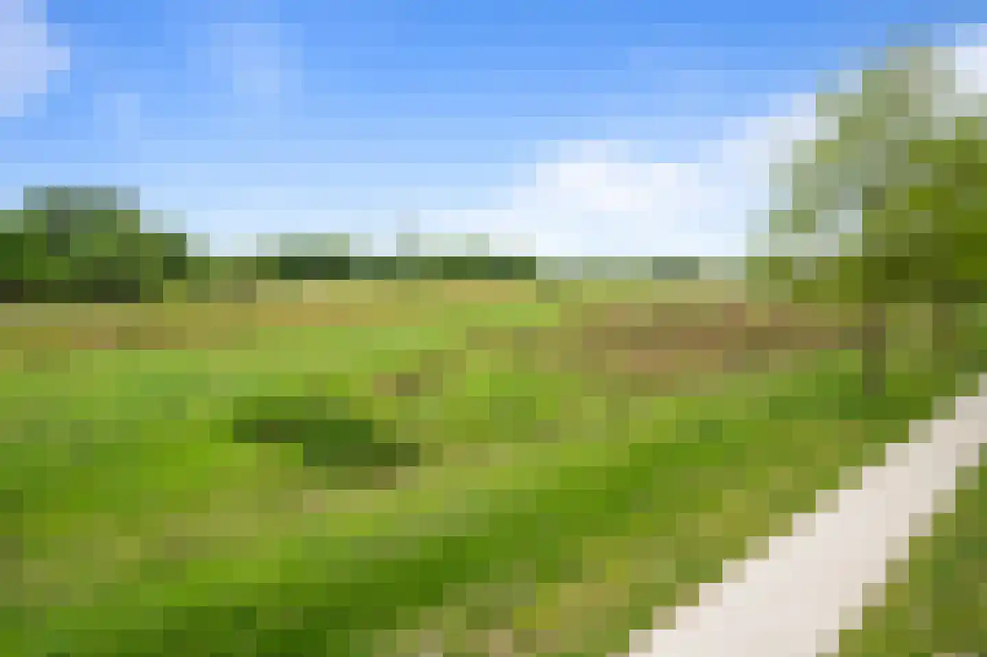 Steven Coldeweijpad 2 Deventer thumbnail 39