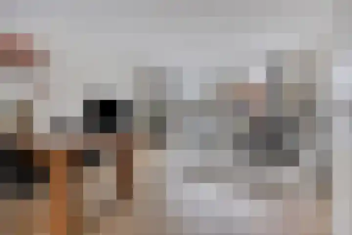 Steven Coldeweijpad 9 Deventer thumbnail 13