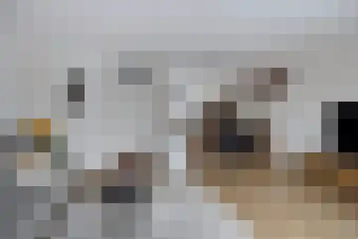 Steven Coldeweijpad 9 Deventer thumbnail 15