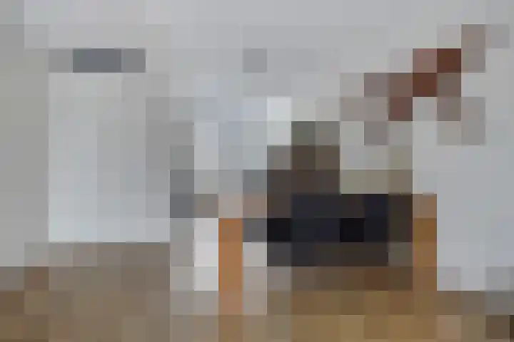 Steven Coldeweijpad 9 Deventer thumbnail 16