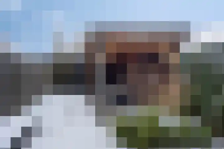 Steven Coldeweijpad 9 Deventer thumbnail 19