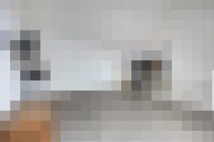 Steven Coldeweijpad 9 Deventer thumbnail 31