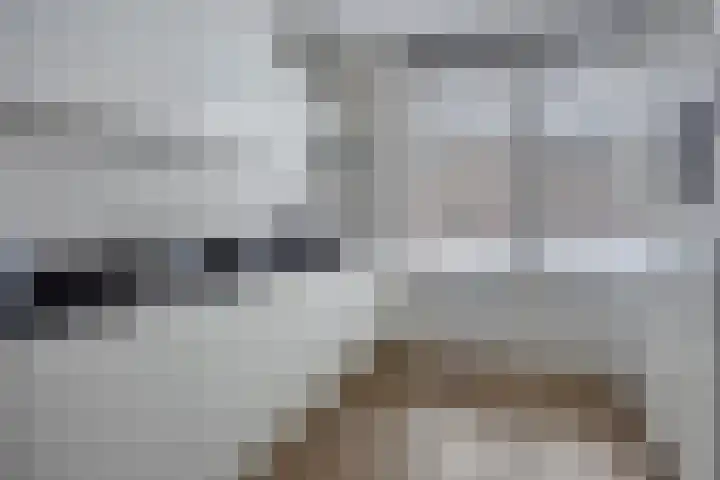 Steven Coldeweijpad 9 Deventer thumbnail 4