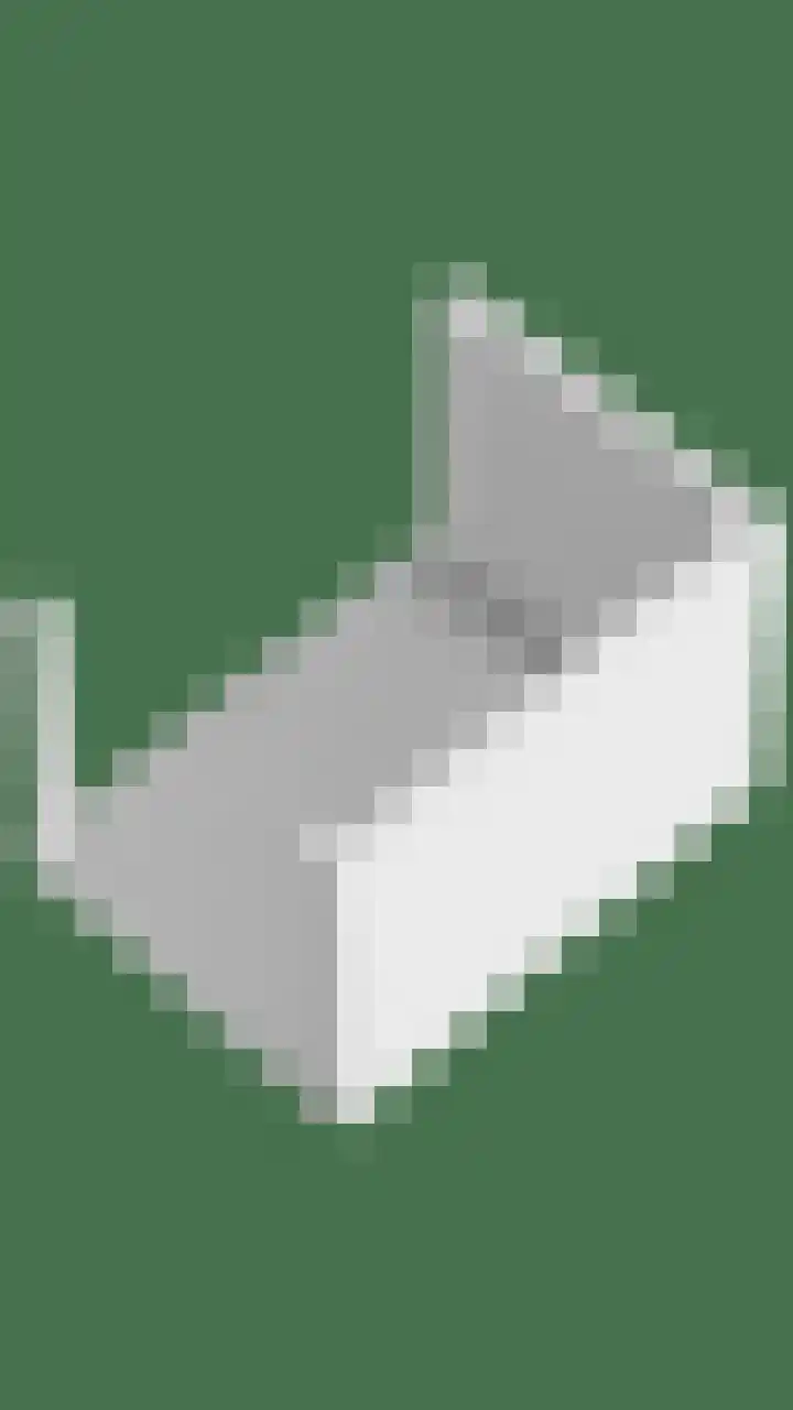 Steven Coldeweijpad 9 Deventer thumbnail 47