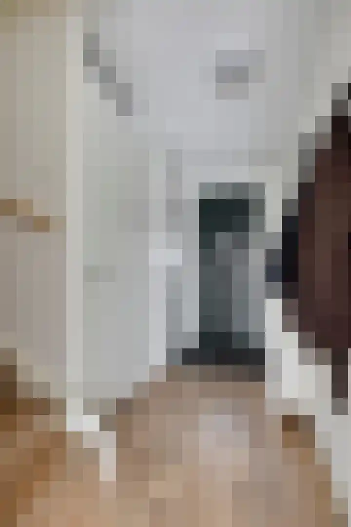 Steven Coldeweijpad 9 Deventer thumbnail 9