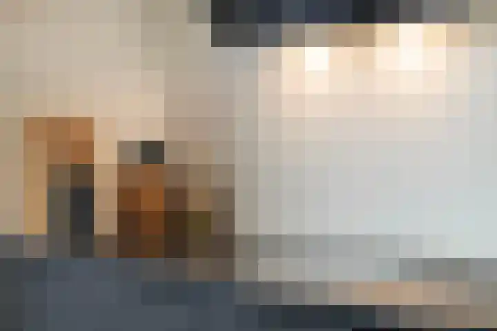 Steven Peltplantsoen 2 Veenendaal thumbnail 10