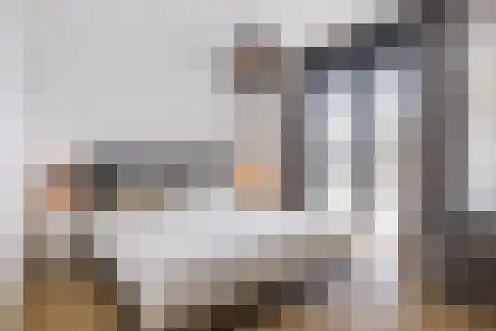 Steven Peltplantsoen 2 Veenendaal thumbnail 16