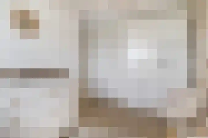 Steven Peltplantsoen 2 Veenendaal thumbnail 19