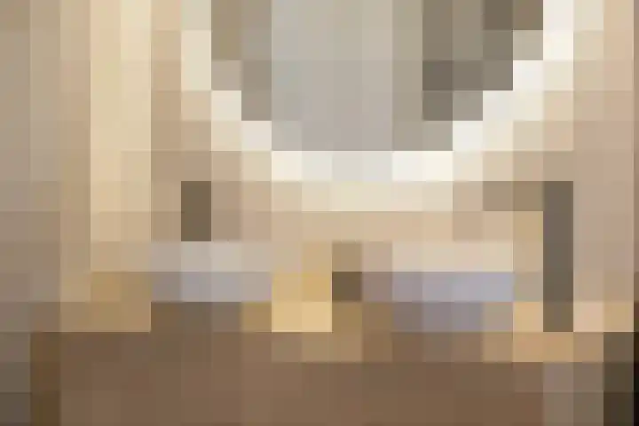 Steven Peltplantsoen 2 Veenendaal thumbnail 23