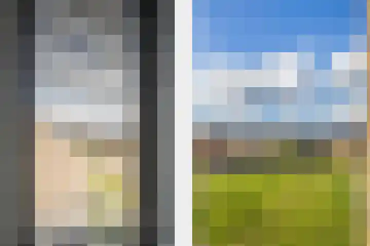 Steven Peltplantsoen 2 Veenendaal thumbnail 27