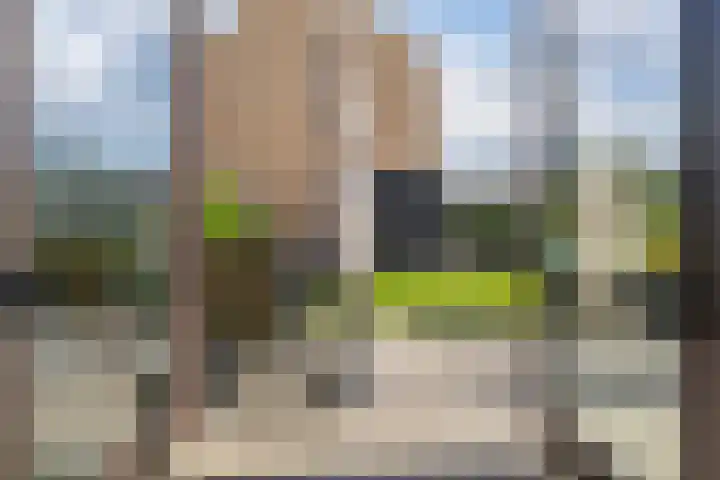 Steven Peltplantsoen 2 Veenendaal thumbnail 29