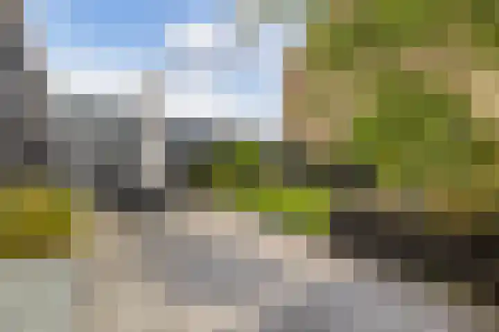 Steven Peltplantsoen 2 Veenendaal thumbnail 30