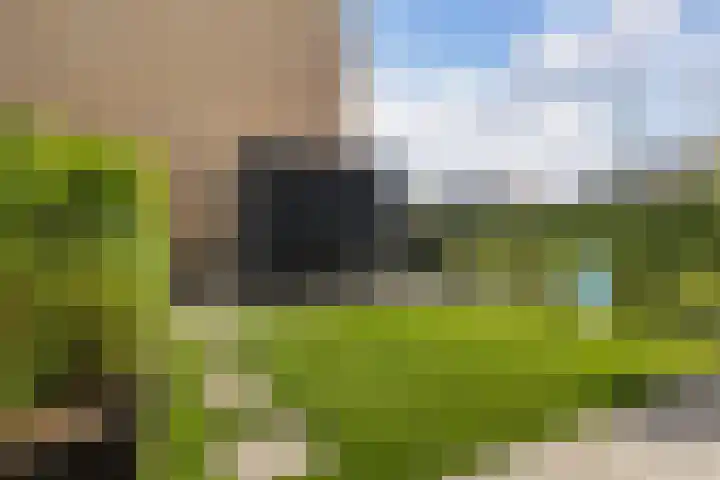 Steven Peltplantsoen 2 Veenendaal thumbnail 31