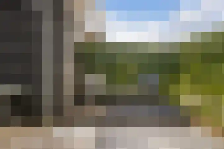Steven Peltplantsoen 2 Veenendaal thumbnail 32