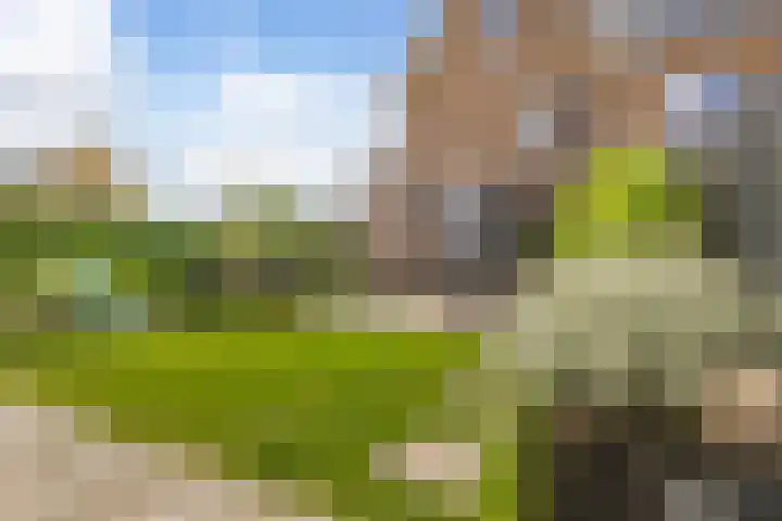 Steven Peltplantsoen 2 Veenendaal thumbnail 33