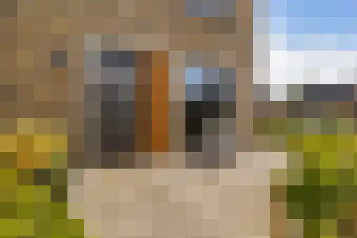 Steven Peltplantsoen 2 Veenendaal thumbnail 35